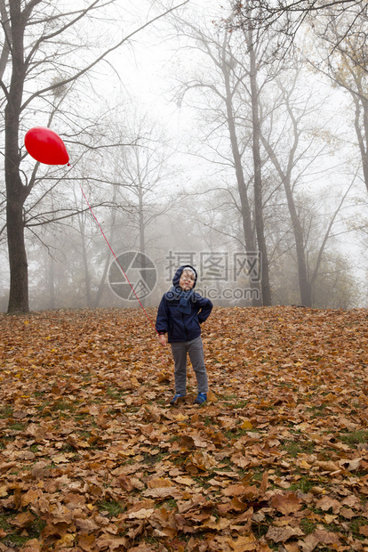 秋天公园落叶男孩穿着蓝色夹克和红气球散步男孩看着镜头和严酷的场景与男孩一起表达玩耍和情绪秋季公园流走丰富多彩的蒙图片