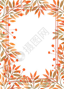 叶子边框艺术水彩秋叶边框背景