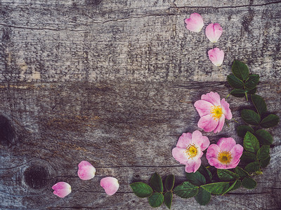 美丽的玫瑰花枝盛开的鲜躺在未粉刷磨碎的花板上写在您名下的地方顶端风景向爱人亲戚朋友和同事致近距离祝贺美丽带白花的玫瑰臀枝朵浪漫的图片