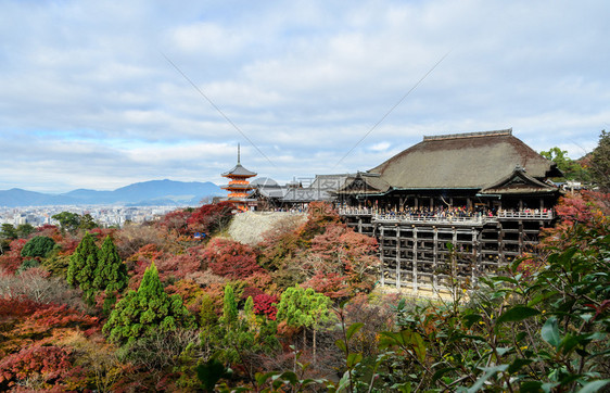 日本京都清美津寺庙秋天彩色风景的落幕美丽点树图片