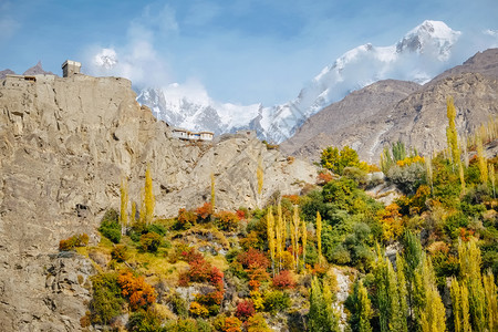 风景顶峰巴基斯坦Karakoram山脉GilgitBaltistan的雪冠UltarSar山峰对顶上Altit堡的秋季Hunza图片