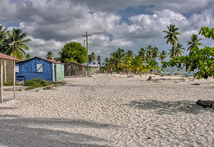 年入百万人民币树圣托多明各208年12月日在海滩上的游客圣多明各日在