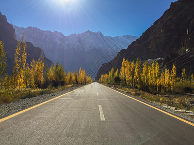 戈贾尔巴基斯坦吉特俾提斯坦GilgitBaltistan的PasuGojal上Hunza山底有雪盖高的金色叶子封顶宁静图片