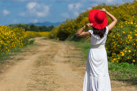 童泰国南邦府MaeMoh煤矿的TungBuaTong墨西哥向日葵田上一位身穿白色连衣裙和红帽子的美丽女人在乡村道路上站在后面春天图片