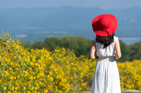 户外美丽的女孩背影图片