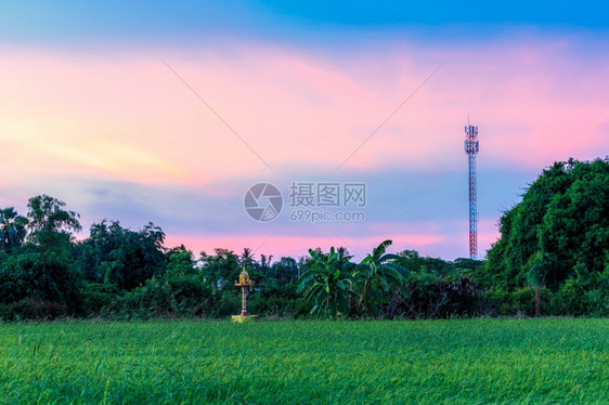 具有田野绿草的移动站接收天线塔和PhraPhum圣迹有田野玉米地和紫光蓝亮橙黄色日落天空有白云气背景暮结构体工程图片