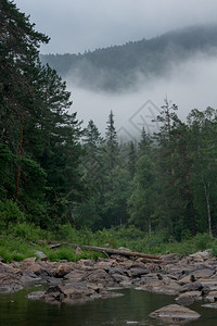 郁葱湖山中快的河流在石块间淌快速地图片