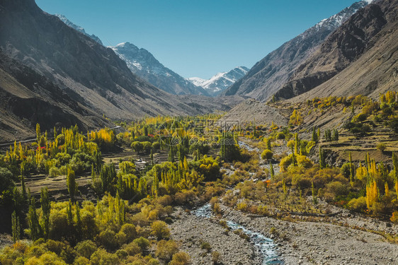 登山假期巴基斯坦SkarduGilgitBaltistanKarakoram山脉由环绕的溪流所覆盖秋天黄树和绿花叶自然景观远足图片