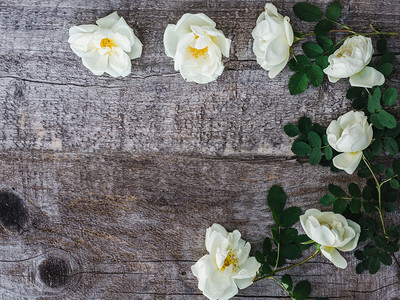 丧花朵盛开躺在未涂漆磨碎的花板上为您作刻字用的广场顶观特闭近平躺向爱人亲戚朋友和同事表示祝贺美丽带白花的玫瑰舞枝木制卡片图片