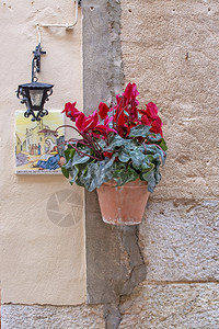 老的美丽赤土花盆与红色仙客来花和圣卡塔利娜托马斯陶瓷板和黑色铁灯在马略卡岛的石墙上与红色仙客来花的美丽赤土陶器花盆西班牙语假期图片