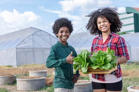 吃愉快职业非洲男童和女在温室各种环境保护主题的前面收割后拿着一篮子生菜蔬沙拉以展示他们持有的木篮蔬菜沙拉绿色地球日园艺图片