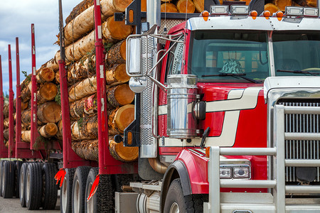 林业加拿大不列颠哥伦比亚省的重型木材运输卡车加拿大不列颠哥伦比亚省的卡车木材运输料货物图片