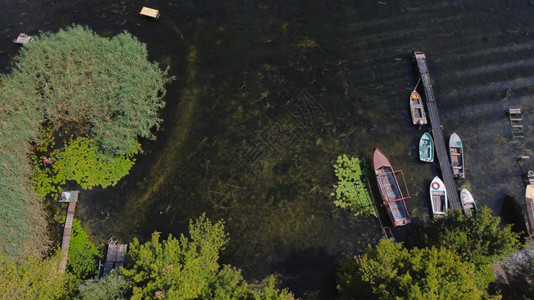 无人机景观驾驶飞机越由当地村庄包围的摇晃河流上空周围有各种建筑物和湿地及沼泽生境并有共同Reed空中观察的后座银行图片