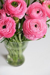 静物玫瑰或者白桌上透明玻璃花瓶中的粉拉农库卢斯花束关闭彩色贺卡或送花的软选择焦点复制空间垂直图片