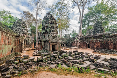 教科文组织柬埔寨暹粒省AngkorWat综合建筑群的TaProhm寺庙全景和巨树百叶废墟冒险图片