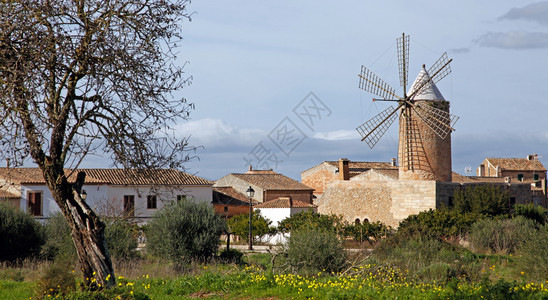 假期地中海萃取2018年月7日西班牙马洛卡的阿尔加迪亚在西班牙阿尔加迪亚市风车图片