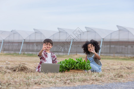 用互联网种植蔬菜的儿童图片