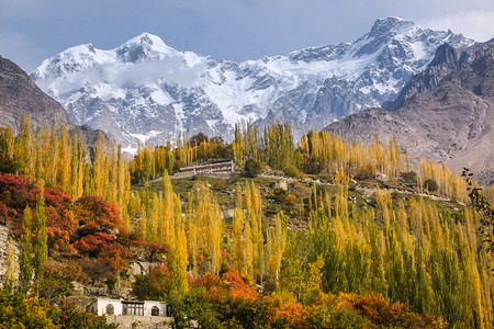 登山蓝色的红巴基斯坦Kalakoram山脉GilgitBaltistan的雪盖着UltarShar山的多彩叶和树木图片