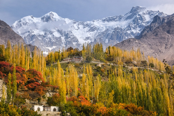 登山蓝色的红巴基斯坦Kalakoram山脉GilgitBaltistan的雪盖着UltarShar山的多彩叶和树木图片