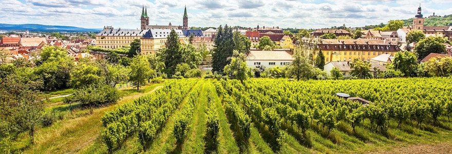 外表城市的酒厂巴伐利亚班伯格市的景象从迈克尔斯堡到麦可用葡萄和在白贝市的前视中从迈克尔斯堡图片