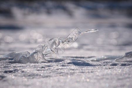 自然的Whhimsofnature关闭了拉脱维亚里加州曼尔萨拉海滩上半透明冰层的结晶三月初以浅度DOF拍摄的横向照片场地温度极图片