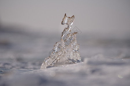 自然的Whhimsofnature关闭在拉脱维亚里加州曼尔萨拉海滩上被沙子覆盖的半透明冰层三月初水平摄影图像以浅的DOF拍摄高调图片