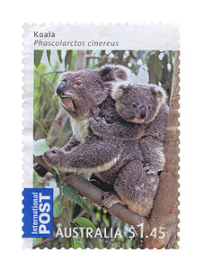 KoalaBear和家族邮票澳大利亚丰富多彩的户外邮政图片