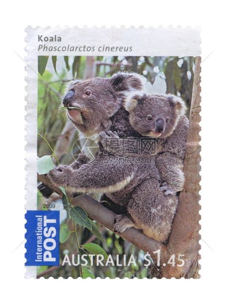 KoalaBear和家族邮票澳大利亚丰富多彩的户外邮政图片