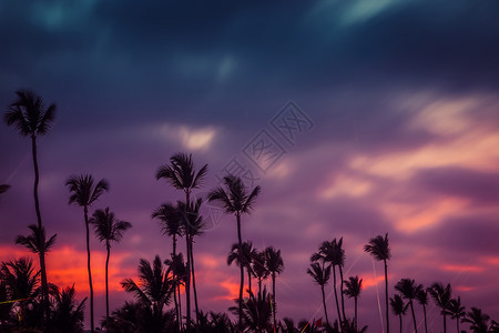 棕榈树的剪影在美丽多色日落背景下异国情调的海滩上戏剧日落棕榈树在海洋中的热带岛屿上令人难以置信的日落男人卡纳景观图片