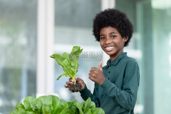 黑卷发非洲男孩炫耀从他的花园里收获新鲜沙拉为顾客选择最好的品质为新一代做生意的起点享受畅快孩子图片