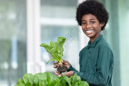 皮肤非洲男孩展示他们最近从社区种植的花园中收获蔬菜有机包括一手充满新鲜生菜的蔬沙拉色各种环境保护主题绿色地球日园艺有机农业等环保图片