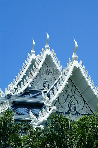 泰国的白佛寺庙棕榈蓝色佛教徒宗教图片