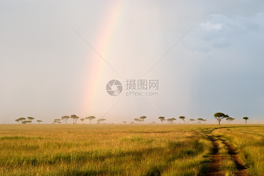 萨凡纳的彩虹旅行荒野树木场景天空阳光大草原风景小路日落图片