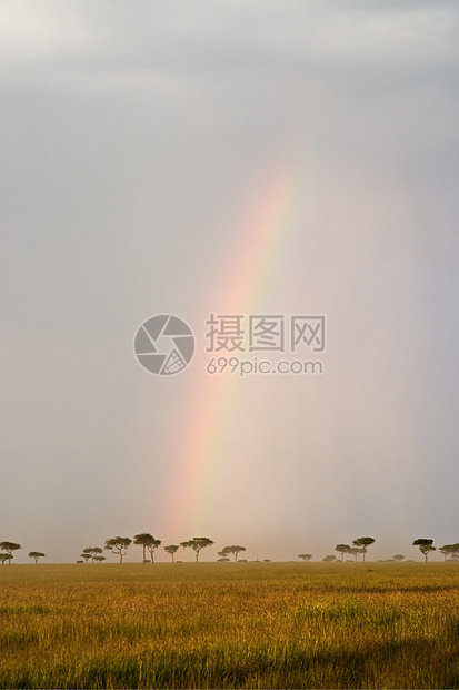 萨凡纳的彩虹冒险天空场景土地小路旅行树木地平线野生动物荒野图片