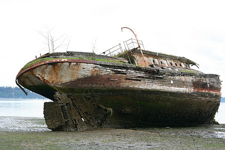 船舶沉船海难海洋海岸海滩腐烂图片