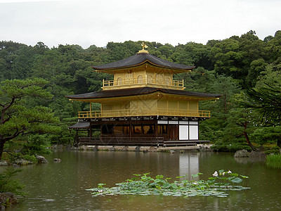 黄金馆神社涩味金子池塘森林三岛神道寺庙图片