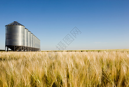 Prairie 采伐地貌图片