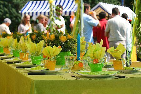 花园派对绿色盘子环境植物家具小屋桌子家庭婚礼庆典图片