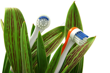 自然护理塑料牙齿刷子医疗宏观牙科保健白色概念牙膏图片