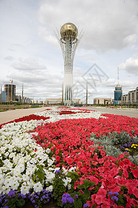 贝泰雷克语Name地方花朵金子花坛天空背景图片