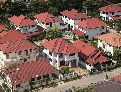 居住区空中观察情况住宅棕榈村庄红色热带房子白色别墅绿色背景图片