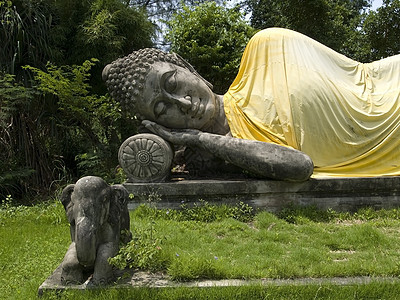 仰立着佛祖绿色花园宗教叶子雕塑图片
