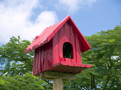 红鸟窝盒子住宅蓝色房子天空绿色住所鸟舍红色背景图片