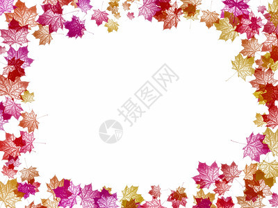 秋落背景背景红色叶子枫木树叶树木框架图片