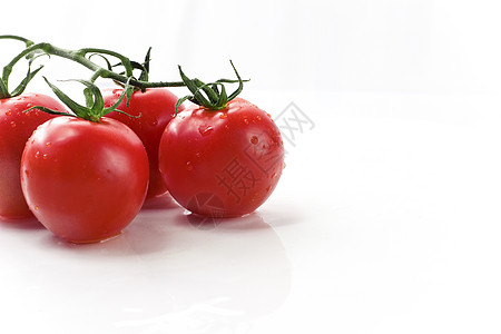 白色上的红藤番茄图片