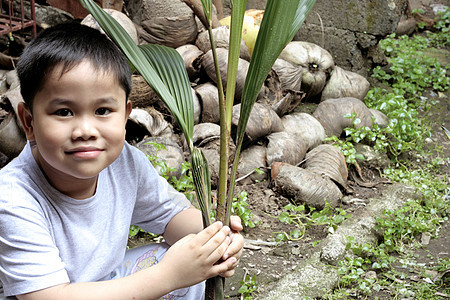 持有椰子树苗的儿童图片