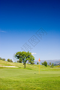 高尔f球场植物群场地生态地平线风景国家旗帜阳光天空太阳图片
