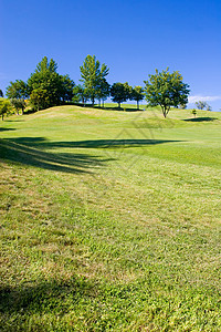 高尔f球场高尔夫球地平线晴天公园季节生态阳光植物群国家场地图片