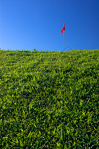 红旗公园高尔夫球土地植物群红色阳光草地天空爬坡风景图片