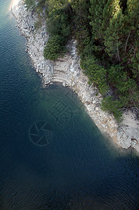 河流和松树绿水图片